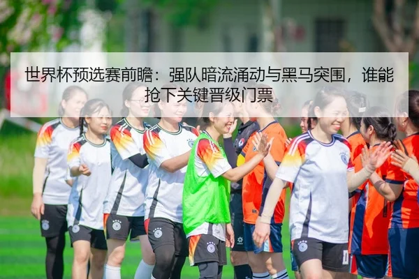 世界杯预选赛前瞻：强队暗流涌动与黑马突围，谁能抢下关键晋级门票